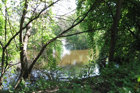 Kzo_River_015.jpg
